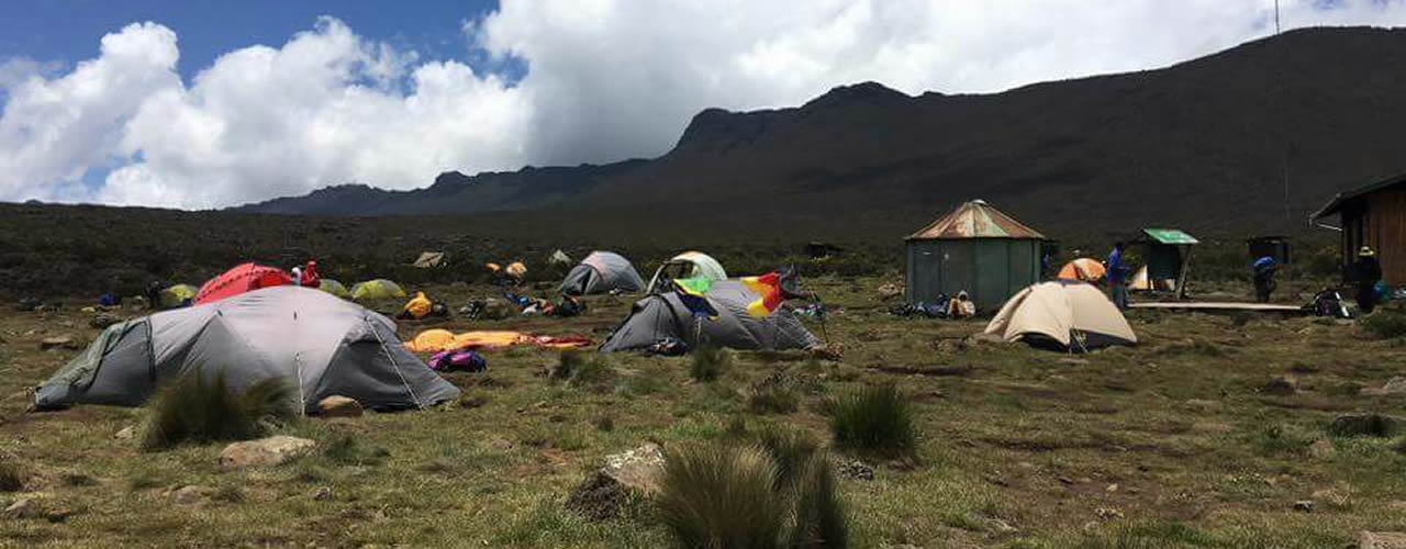 Kilimanjaro safaris zanzibar.