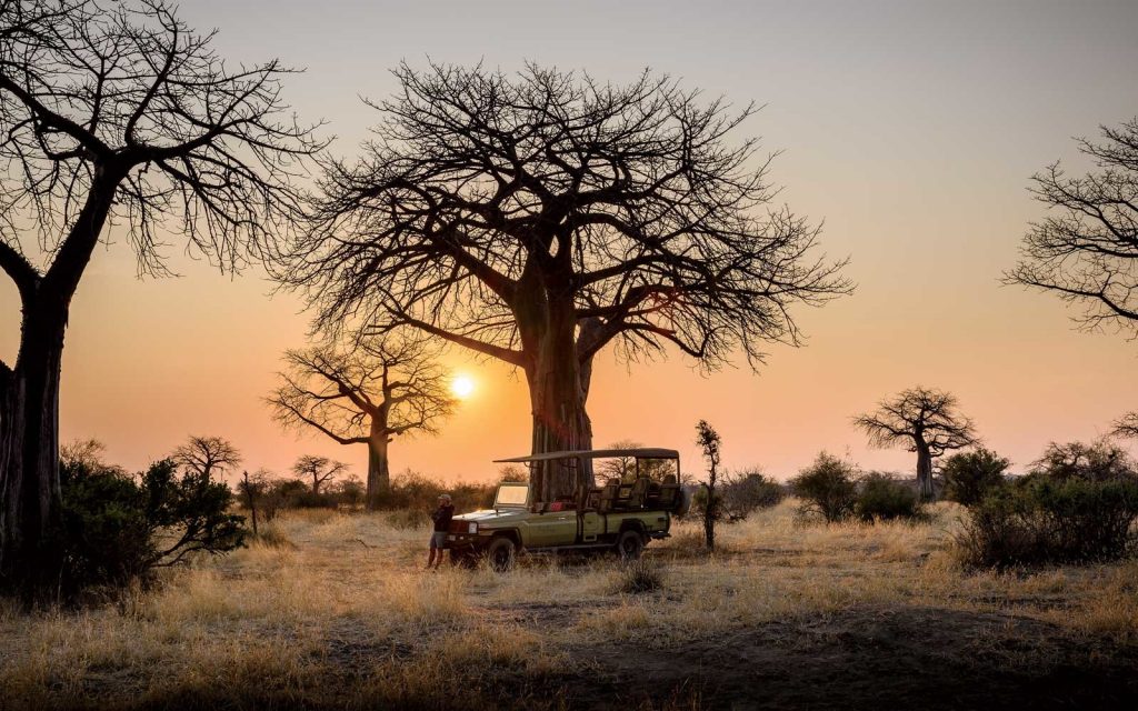 Shaba and Buffalo Springs National Reserve