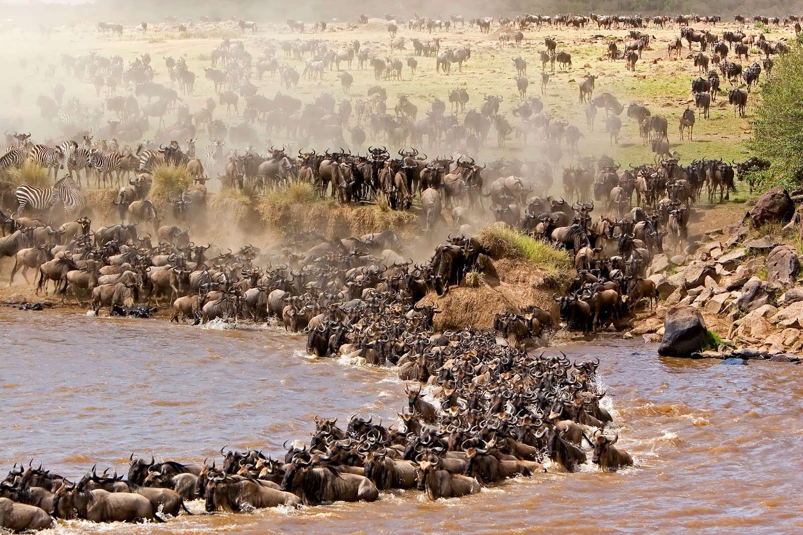 6-Day Migration Safari in Tanzania