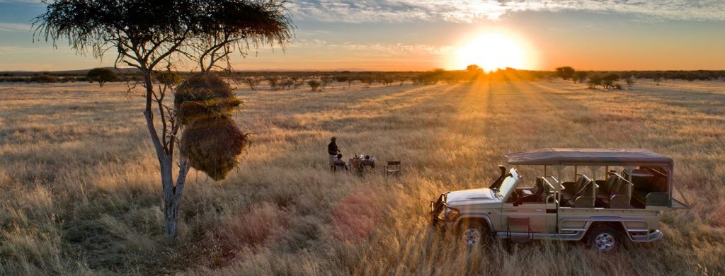 4 Days Uganda Safari Including Gorilla Trekking