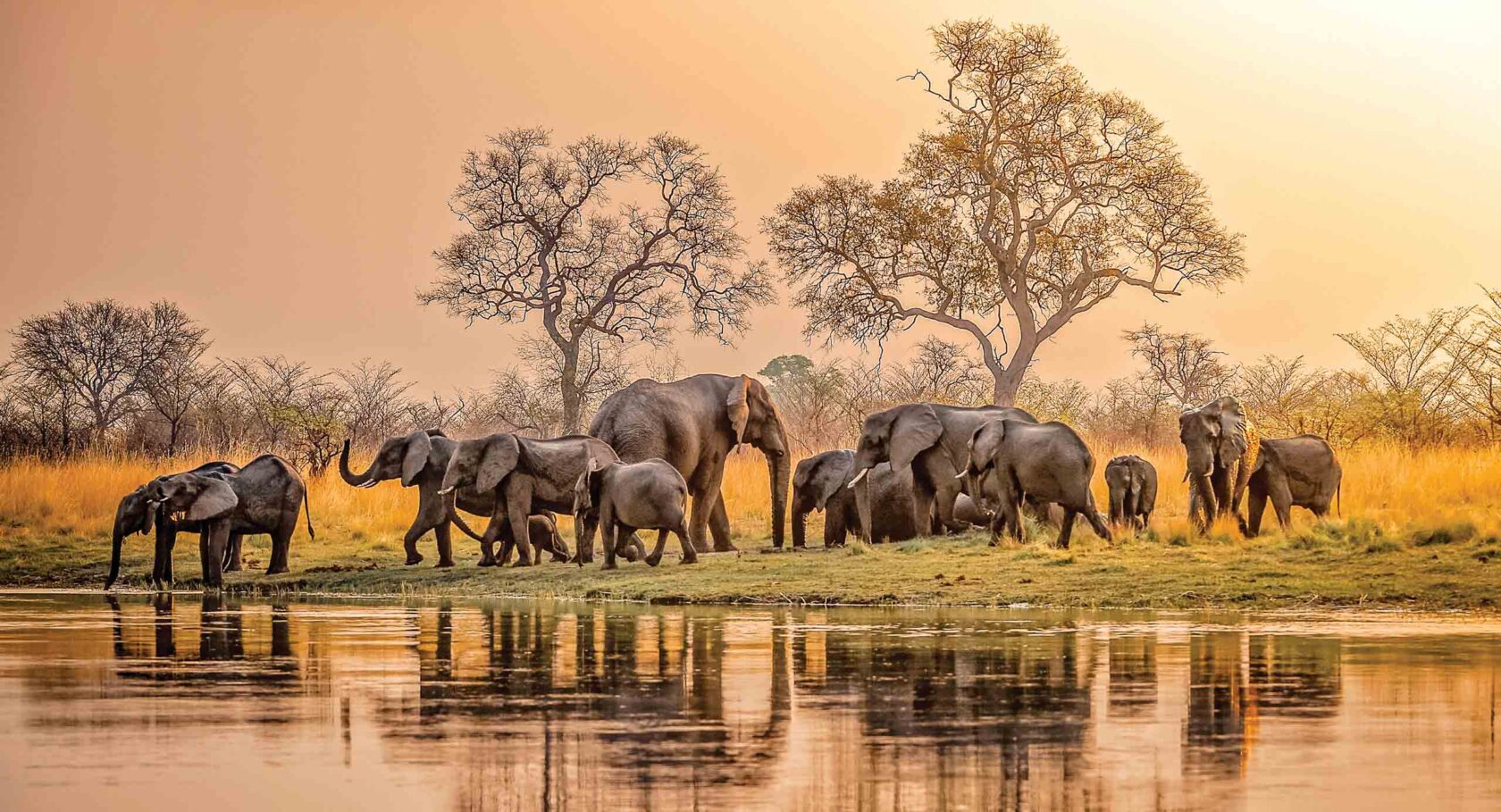 Africa landscape elephants 1680x909 1